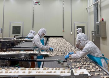 Nhận thức đúng về thực phẩm đã qua chế biến.